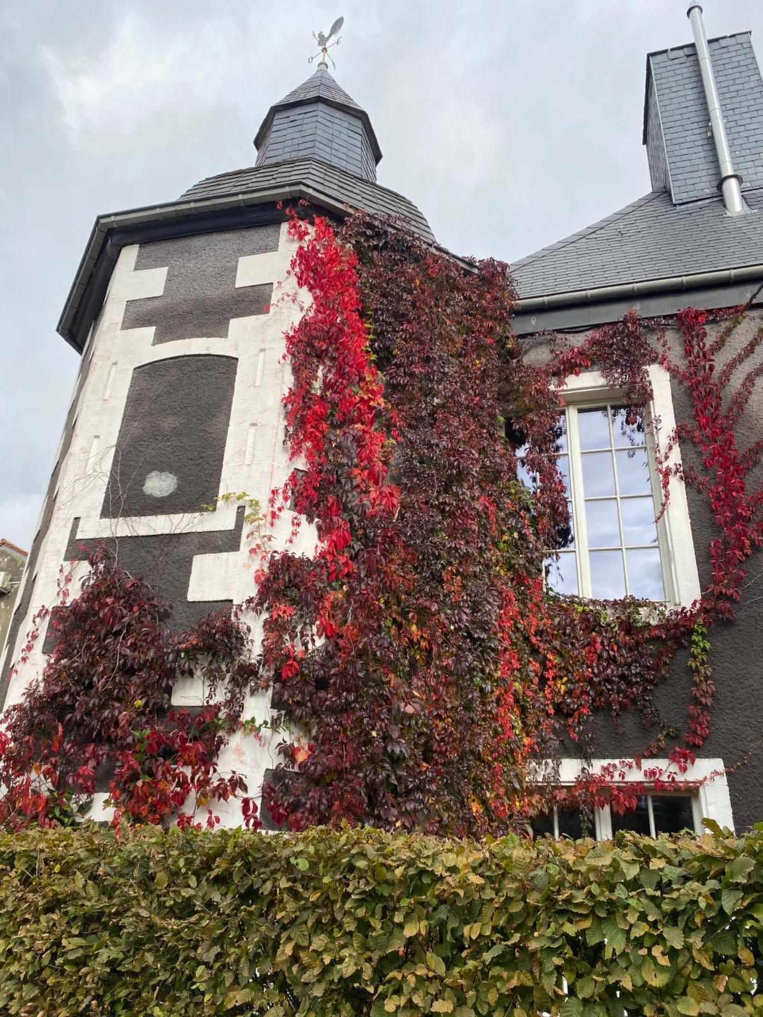 Chateau De *
